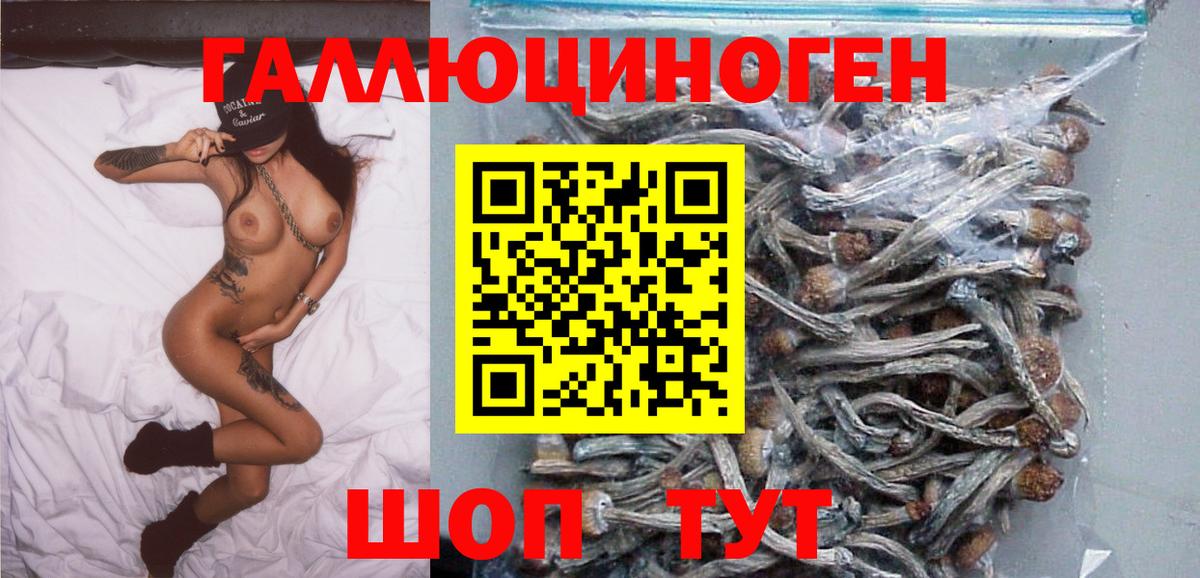 Псилоцибиновые грибы мицелий  Псилоцибиновые грибы мицелий  Вход с VPN  Каменка 